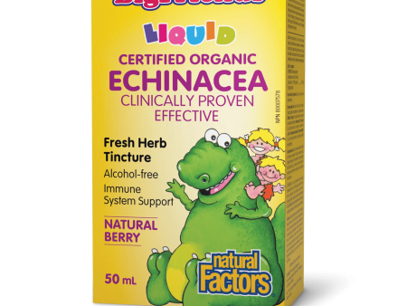 Natural Factors: Big Friends Echinacea Alcohol-Free Fresh Herb Tincture for Kids Cheap