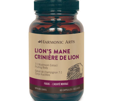 Harmonic Arts: Lion s Mane Concentrated Mushroom Capsules For Sale