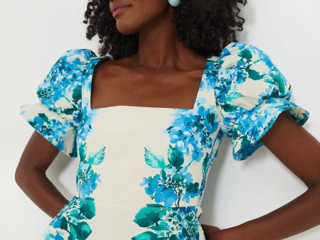 Water s Edge Hydrangea Monica Top Online Hot Sale