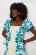 Water s Edge Hydrangea Monica Top Online Hot Sale