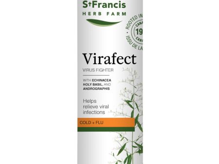 St. Francis: Virafect Virus Fighter Online now