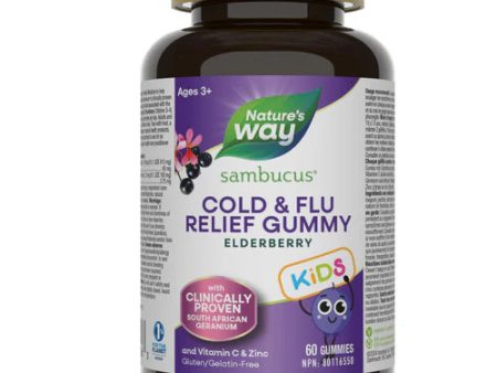 Nature s Way: Sambucus Cold & Flu Kids Relief Gummies Hot on Sale