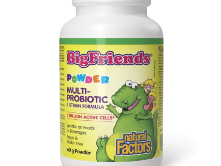 Natural Factors: Big Friends Multiprobiotic Powder For Discount