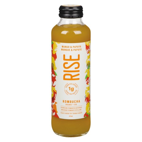 Rise Kombucha For Cheap