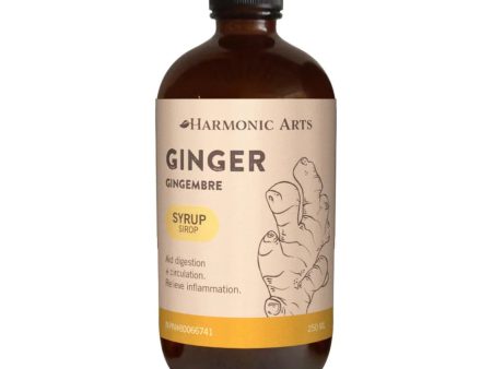 Harmonic Arts: Ginger Syrup Cheap