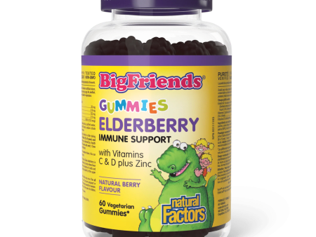 Natural Factors: Elderberry Gummies with Vitamins C & D plus Zinc Cheap