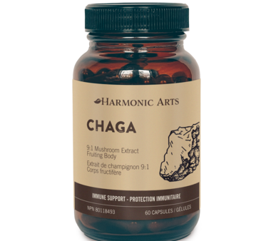 Harmonic Arts: Chaga Concentrated Mushroom Capsules Online Hot Sale