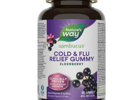 Nature s Way: Sambucus Cold & Flu Relief Adult Gummies Online Hot Sale