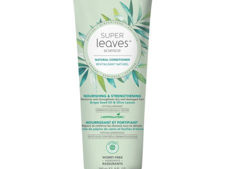 Attitude: Super Leaves Conditioner Nourishing & Strengthening Online Hot Sale