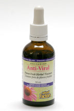 Natural Factors: ECHINAMIDE® Anti-Viral Tincture For Discount