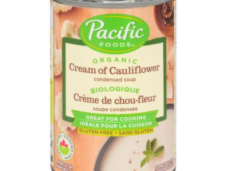 Pacific Foods: Organic Soup - 284 ml Can For Discount