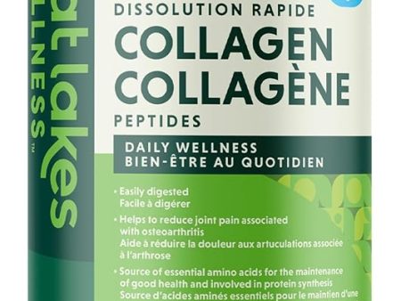 Great Lakes: Unflavoured Collagen Online Sale