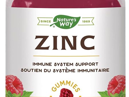 Nature s Way: Zinc Gummies Supply