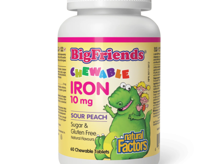 Natural Factors: Big Friends Iron 10MG Online now