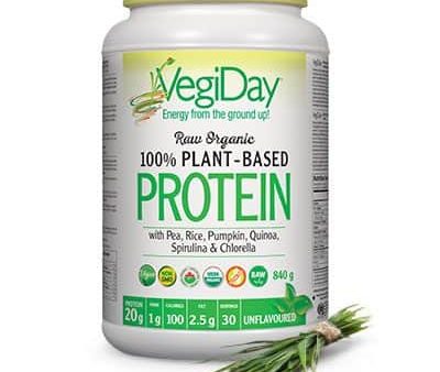 VegiDay: Raw Organic Plant-Based Protein Online