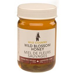 Wild Country: Wild Blossom Honey on Sale