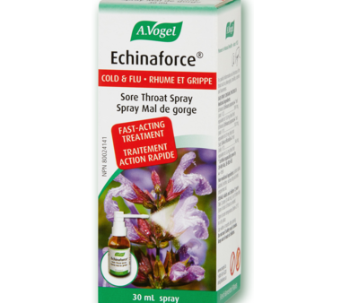 A.Vogel: Echinaforce Sore Throat Spray on Sale