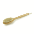 BIOS: Bamboo Body Brush Online Hot Sale