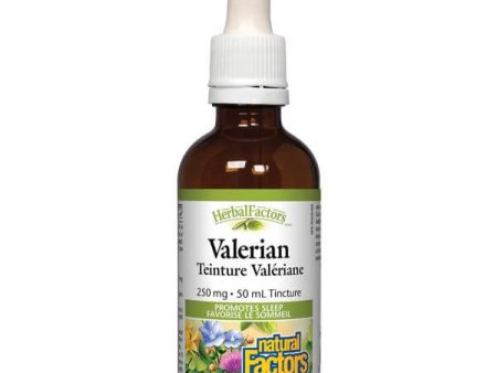 Natural Factors: Valerian Root Tincture on Sale