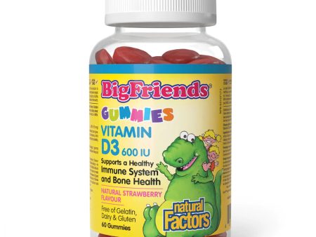 Natural Factors: Big Friends Vitamin D 600 UI Gummies Hot on Sale