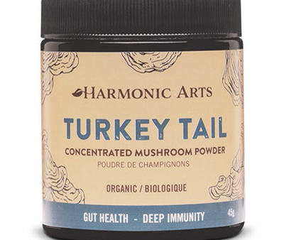 Harmonic Arts: Turkey Tail Concentrated Mushroom Powder Sale