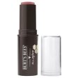 Burt s Bees: Lip & Cheek Stick Hot on Sale